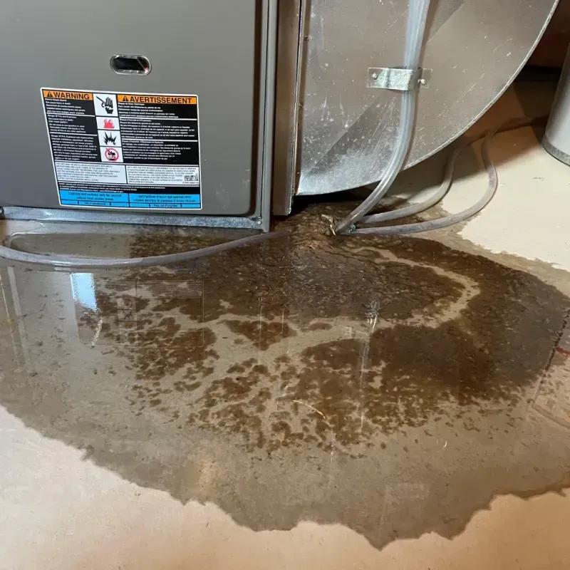 Appliance Leak Cleanup in Palmer, AK